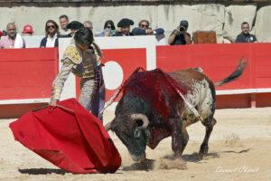 24 09 14 M NIMES CHICOT (513)