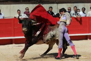 24 09 14 M NIMES CHICOT (516)