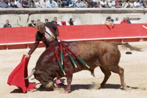 24 09 14 M NIMES CHICOT (577)