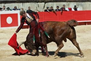 24 09 14 M NIMES CHICOT (580)