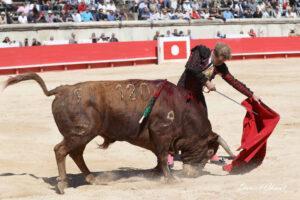 24 09 14 M NIMES CHICOT (586)