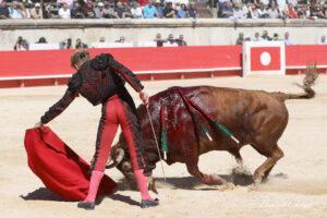 24 09 14 M NIMES CHICOT (596)