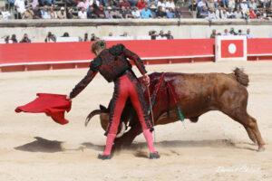 24 09 14 M NIMES CHICOT (599)