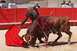 24 09 14 M NIMES CHICOT (621)