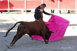 24 10 19 FOURQUES CHICOT (149)