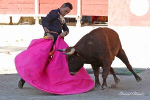 24 10 19 FOURQUES CHICOT (154)