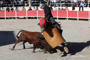 24 10 19 FOURQUES CHICOT (160)