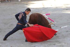 24 10 19 FOURQUES CHICOT (177)