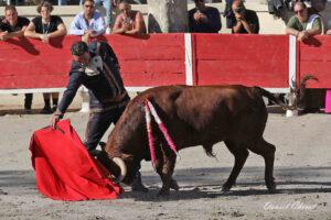 24 10 19 FOURQUES CHICOT (190)