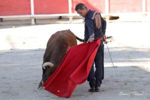 24 10 19 FOURQUES CHICOT (219)