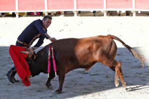 24 10 19 FOURQUES CHICOT (233)