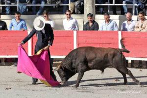 24 10 19 FOURQUES CHICOT (279)