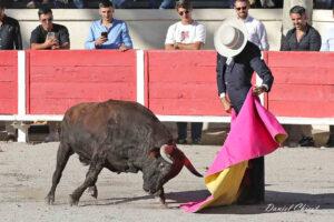 24 10 19 FOURQUES CHICOT (280)