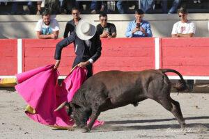 24 10 19 FOURQUES CHICOT (282)