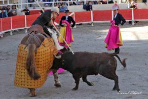 24 10 19 FOURQUES CHICOT (289)