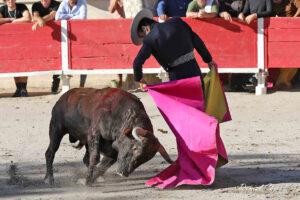 24 10 19 FOURQUES CHICOT (294)