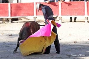 24 10 19 FOURQUES CHICOT (299)