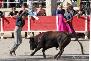 24 10 19 FOURQUES CHICOT (305)