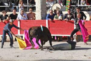 24 10 19 FOURQUES CHICOT (310)