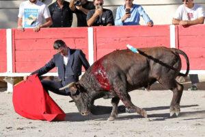 24 10 19 FOURQUES CHICOT (323)