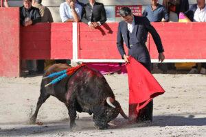 24 10 19 FOURQUES CHICOT (328)