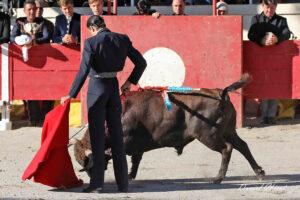 24 10 19 FOURQUES CHICOT (334)