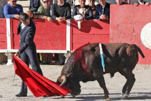 24 10 19 FOURQUES CHICOT (337)