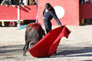 24 10 19 FOURQUES CHICOT (356)