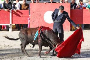 24 10 19 FOURQUES CHICOT (358)