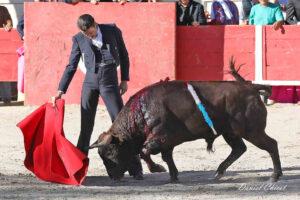 24 10 19 FOURQUES CHICOT (366)