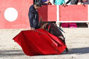 24 10 19 FOURQUES CHICOT (367)