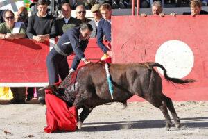 24 10 19 FOURQUES CHICOT (374)