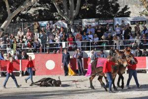 24 10 19 FOURQUES CHICOT (380)