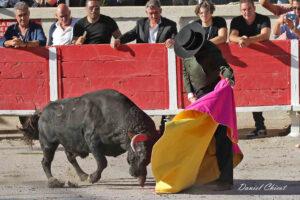 24 10 19 FOURQUES CHICOT (404)