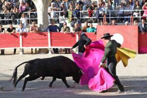 24 10 19 FOURQUES CHICOT (429)