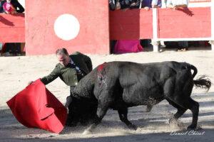 24 10 19 FOURQUES CHICOT (467)