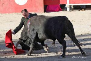 24 10 19 FOURQUES CHICOT (473)