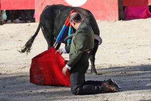 24 10 19 FOURQUES CHICOT (476)