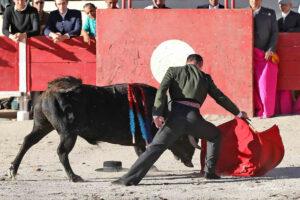 24 10 19 FOURQUES CHICOT (526)