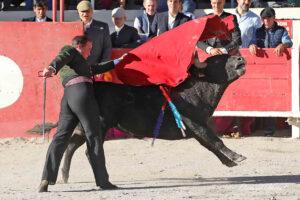 24 10 19 FOURQUES CHICOT (528)