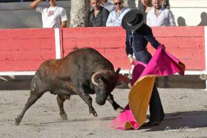 24 10 19 FOURQUES CHICOT (588)