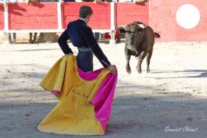 24 10 19 FOURQUES CHICOT (596)