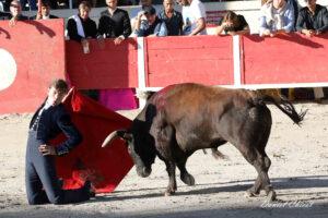 24 10 19 FOURQUES CHICOT (628)