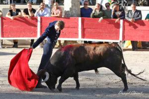 24 10 19 FOURQUES CHICOT (642)