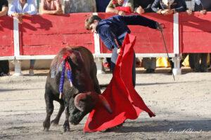 24 10 19 FOURQUES CHICOT (665)