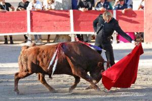 24 10 19 FOURQUES CHICOT (798)