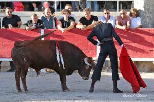 24 10 19 FOURQUES CHICOT (826)