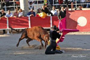 24 10 19 FOURQUES CHICOT (882)