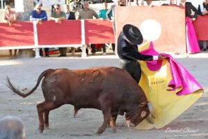 24 10 19 FOURQUES CHICOT (913)