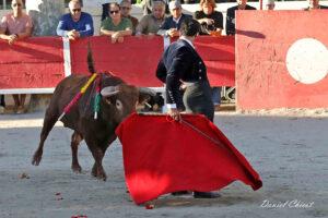 24 10 19 FOURQUES CHICOT (940)